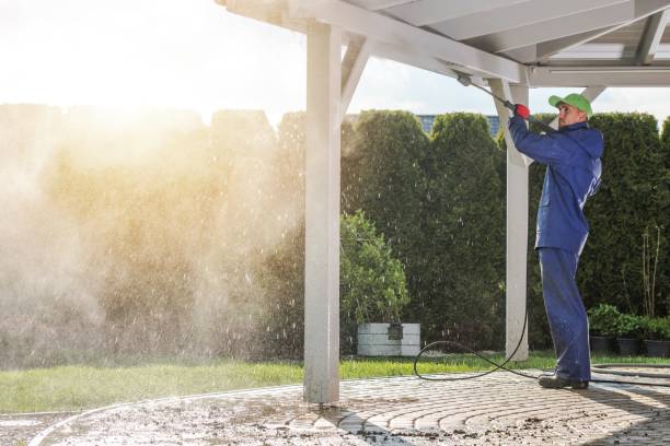 Best House Exterior Washing  in Shorewood, MN