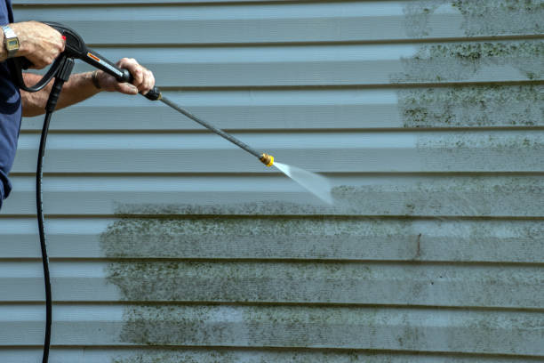 Best Building Exterior Washing  in Shorewood, MN