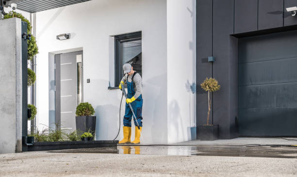 Best Paint Preparation  in Shorewood, MN